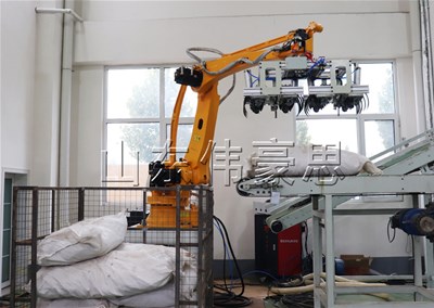 藥材顆粒機器人拆垛機 拆垛機械手非標(biāo)定制