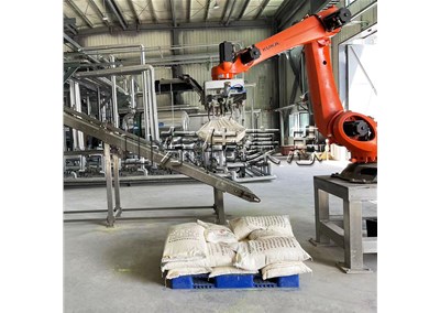 肥料自動拆垛機器人 拆垛機械手客戶現(xiàn)場