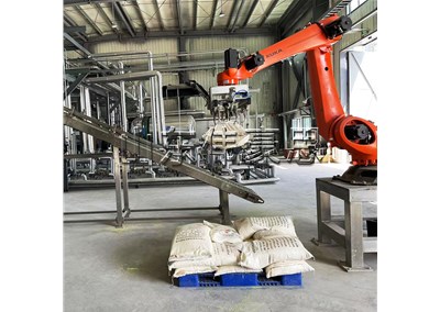 氯化鈉粉拆垛機(jī)器人 自動(dòng)拆垛機(jī)械手優(yōu)勢